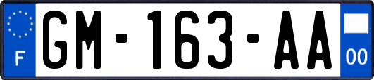 GM-163-AA