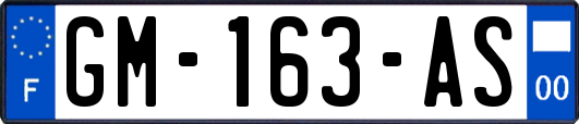 GM-163-AS