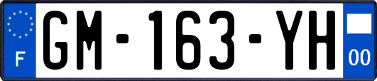 GM-163-YH