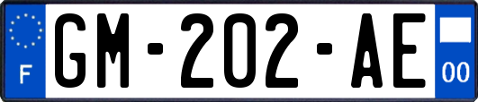 GM-202-AE