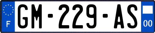 GM-229-AS