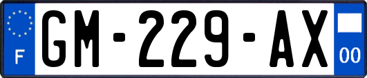 GM-229-AX