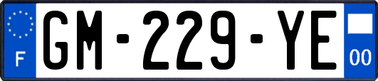 GM-229-YE