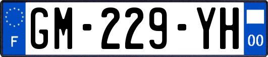 GM-229-YH