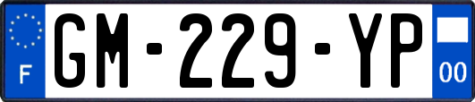 GM-229-YP