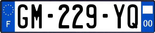 GM-229-YQ