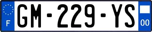 GM-229-YS