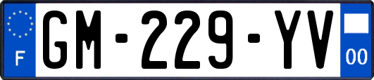 GM-229-YV