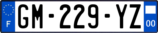 GM-229-YZ