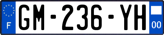 GM-236-YH