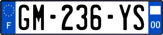 GM-236-YS