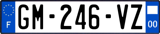 GM-246-VZ
