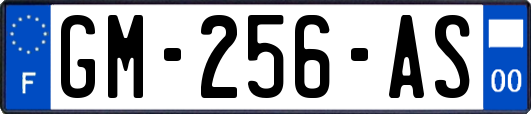 GM-256-AS