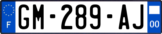GM-289-AJ