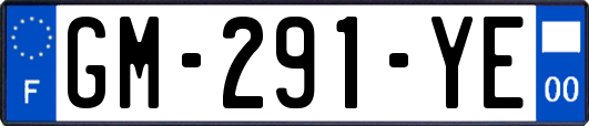 GM-291-YE
