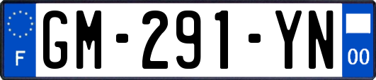 GM-291-YN