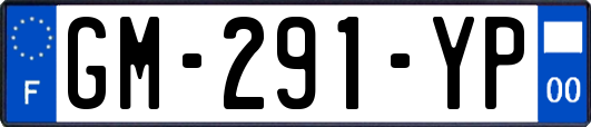 GM-291-YP