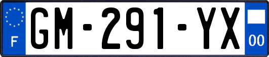 GM-291-YX