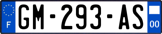 GM-293-AS