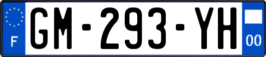 GM-293-YH