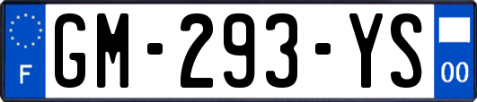GM-293-YS