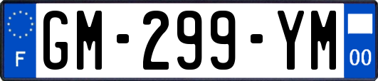 GM-299-YM