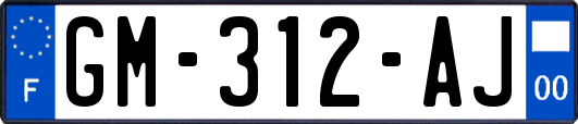 GM-312-AJ