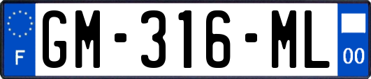 GM-316-ML