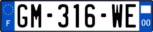 GM-316-WE