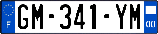 GM-341-YM