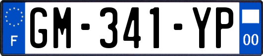GM-341-YP