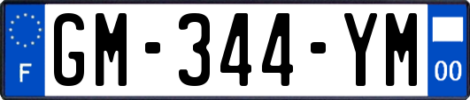 GM-344-YM