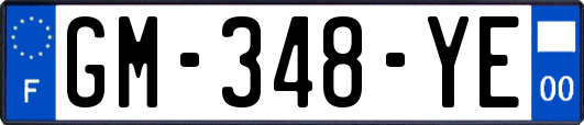 GM-348-YE