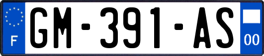 GM-391-AS