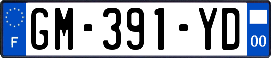 GM-391-YD