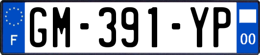 GM-391-YP