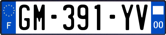 GM-391-YV