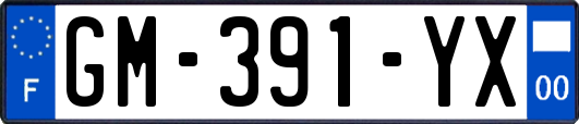 GM-391-YX