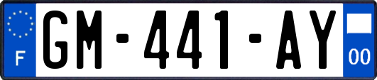 GM-441-AY
