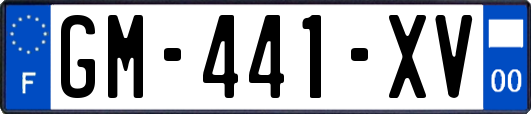 GM-441-XV