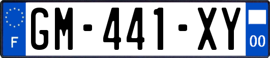 GM-441-XY