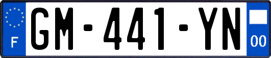 GM-441-YN