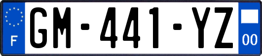 GM-441-YZ