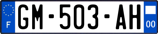 GM-503-AH