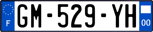 GM-529-YH