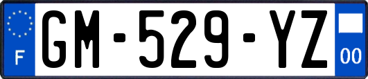 GM-529-YZ