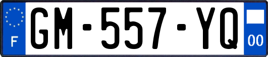GM-557-YQ