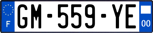 GM-559-YE