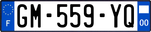 GM-559-YQ