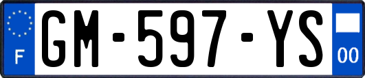 GM-597-YS